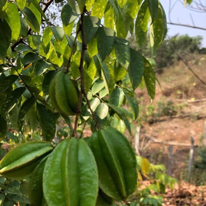 Lobville Homestay Karjat Extérieur photo